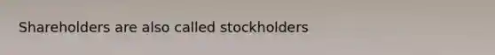 Shareholders are also called stockholders