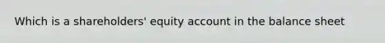 Which is a shareholders' equity account in the balance sheet