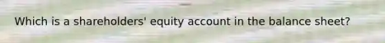 Which is a shareholders' equity account in the balance sheet?