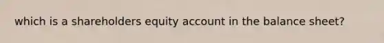 which is a shareholders equity account in the balance sheet?