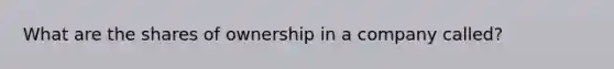 What are the shares of ownership in a company called?