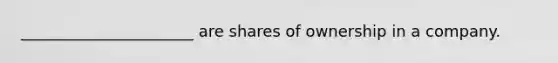 ______________________ are shares of ownership in a company.