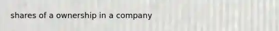 shares of a ownership in a company