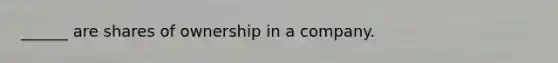 ______ are shares of ownership in a company.
