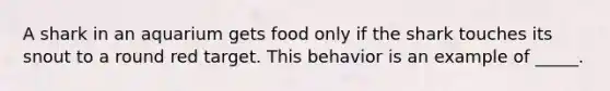 A shark in an aquarium gets food only if the shark touches its snout to a round red target. This behavior is an example of _____.
