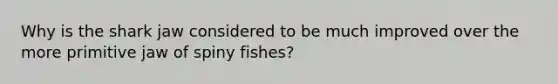 Why is the shark jaw considered to be much improved over the more primitive jaw of spiny fishes?