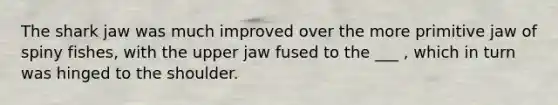 The shark jaw was much improved over the more primitive jaw of spiny fishes, with the upper jaw fused to the ___ , which in turn was hinged to the shoulder.