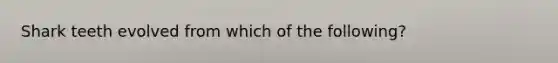 Shark teeth evolved from which of the following?