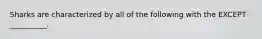 Sharks are characterized by all of the following with the EXCEPT __________.