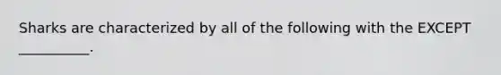 Sharks are characterized by all of the following with the EXCEPT __________.