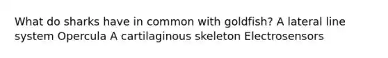 What do sharks have in common with goldfish? A lateral line system Opercula A cartilaginous skeleton Electrosensors