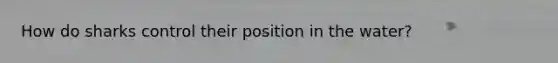 How do sharks control their position in the water?