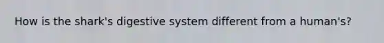 How is the shark's digestive system different from a human's?