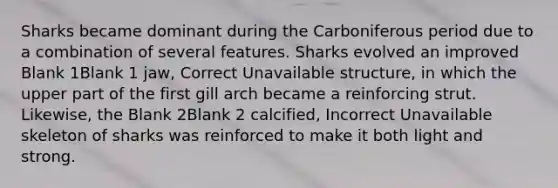 Sharks became dominant during the Carboniferous period due to a combination of several features. Sharks evolved an improved Blank 1Blank 1 jaw, Correct Unavailable structure, in which the upper part of the first gill arch became a reinforcing strut. Likewise, the Blank 2Blank 2 calcified, Incorrect Unavailable skeleton of sharks was reinforced to make it both light and strong.