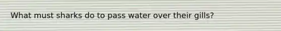What must sharks do to pass water over their gills?