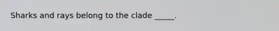 Sharks and rays belong to the clade _____.