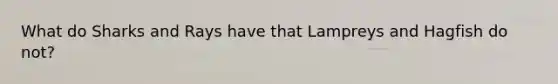 What do Sharks and Rays have that Lampreys and Hagfish do not?