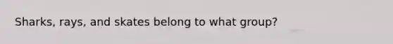 Sharks, rays, and skates belong to what group?