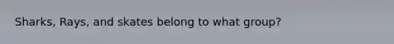 Sharks, Rays, and skates belong to what group?
