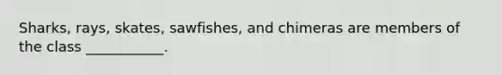 Sharks, rays, skates, sawfishes, and chimeras are members of the class ___________.