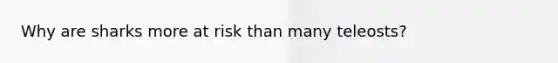 Why are sharks more at risk than many teleosts?