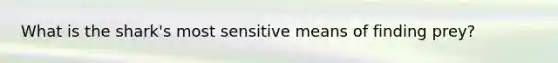 What is the shark's most sensitive means of finding prey?