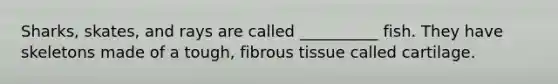 Sharks, skates, and rays are called __________ fish. They have skeletons made of a tough, fibrous tissue called cartilage.