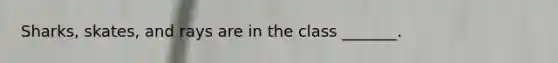 Sharks, skates, and rays are in the class _______.