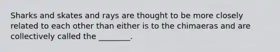 Sharks and skates and rays are thought to be more closely related to each other than either is to the chimaeras and are collectively called the ________.