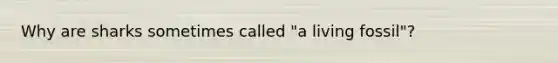 Why are sharks sometimes called "a living fossil"?