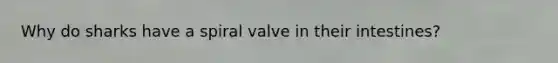 Why do sharks have a spiral valve in their intestines?