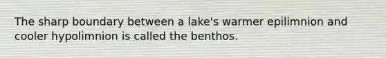 The sharp boundary between a lake's warmer epilimnion and cooler hypolimnion is called the benthos.