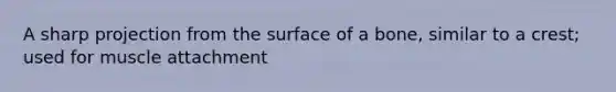 A sharp projection from the surface of a bone, similar to a crest; used for muscle attachment