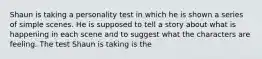 Shaun is taking a personality test in which he is shown a series of simple scenes. He is supposed to tell a story about what is happening in each scene and to suggest what the characters are feeling. The test Shaun is taking is the