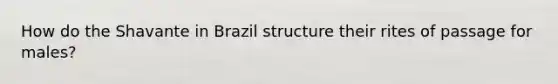 How do the Shavante in Brazil structure their rites of passage for males?