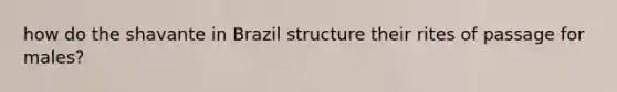 how do the shavante in Brazil structure their rites of passage for males?