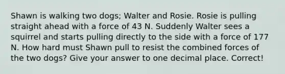 Shawn is walking two dogs; Walter and Rosie. Rosie is pulling straight ahead with a force of 43 N. Suddenly Walter sees a squirrel and starts pulling directly to the side with a force of 177 N. How hard must Shawn pull to resist the combined forces of the two dogs? Give your answer to one decimal place. Correct!