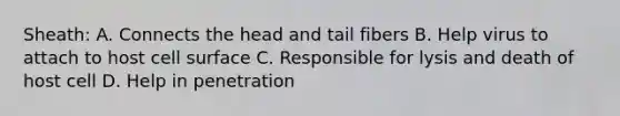 Sheath: A. Connects the head and tail fibers B. Help virus to attach to host cell surface C. Responsible for lysis and death of host cell D. Help in penetration