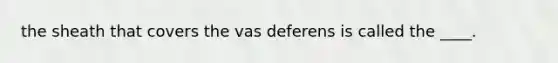 the sheath that covers the vas deferens is called the ____.