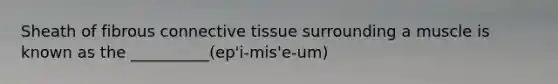 Sheath of fibrous connective tissue surrounding a muscle is known as the __________(ep'i-mis'e-um)