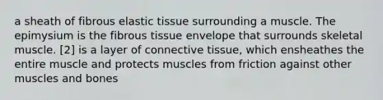 a sheath of fibrous elastic tissue surrounding a muscle. The epimysium is the fibrous tissue envelope that surrounds skeletal muscle. [2] is a layer of connective tissue, which ensheathes the entire muscle and protects muscles from friction against other muscles and bones