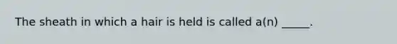 The sheath in which a hair is held is called a(n) _____.