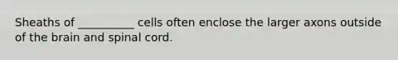 Sheaths of __________ cells often enclose the larger axons outside of the brain and spinal cord.