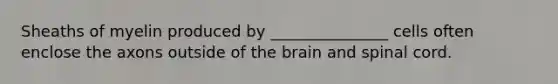 Sheaths of myelin produced by _______________ cells often enclose the axons outside of the brain and spinal cord.