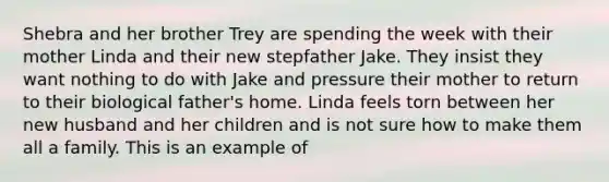 Shebra and her brother Trey are spending the week with their mother Linda and their new stepfather Jake. They insist they want nothing to do with Jake and pressure their mother to return to their biological father's home. Linda feels torn between her new husband and her children and is not sure how to make them all a family. This is an example of