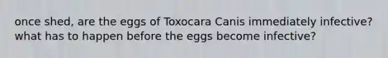 once shed, are the eggs of Toxocara Canis immediately infective? what has to happen before the eggs become infective?