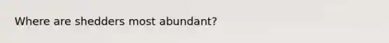 Where are shedders most abundant?