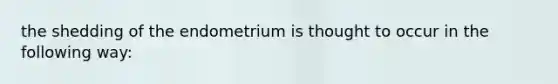 the shedding of the endometrium is thought to occur in the following way: