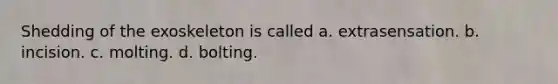Shedding of the exoskeleton is called a. extrasensation. b. incision. c. molting. d. bolting.