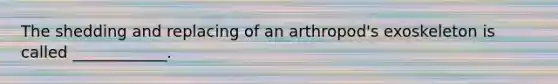 The shedding and replacing of an arthropod's exoskeleton is called ____________.